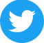 Twitter Icon