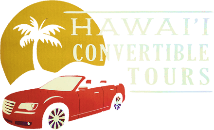 Hawaii Convertible Tours