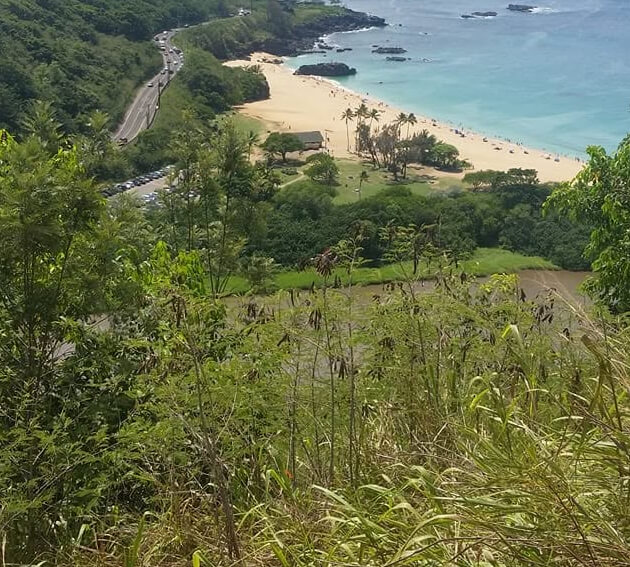 Honolulu + North Shore